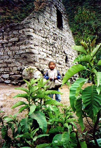 2001