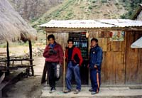 2003